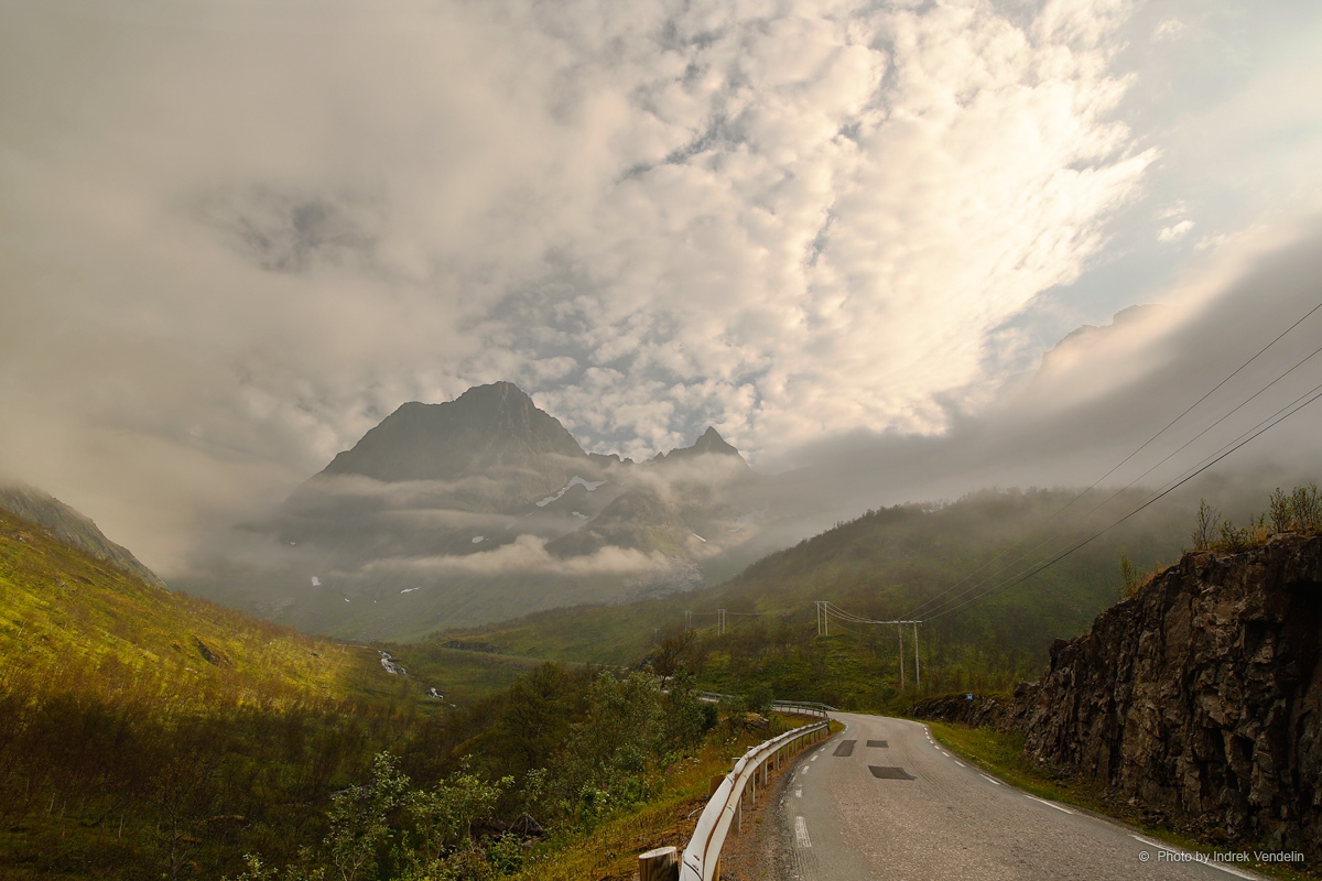 Üks tavaline Norra tee