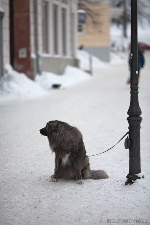 Jalutuskäik Tartus. Kutsu ootab peremeest