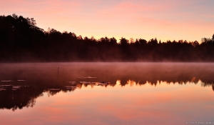 Sooda järv